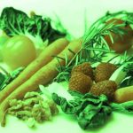 Why Be Vegetarian? 7 Reasons And Tips