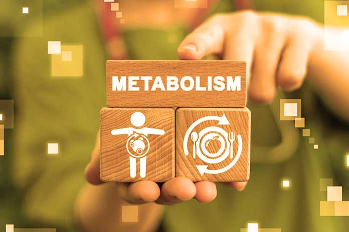 What-Is-The-Reason-To-Speed-Up-Metabolism-Or-Slow-Down-According-To-Age