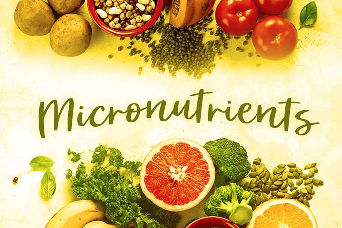 Micronutrients In Diet And Training