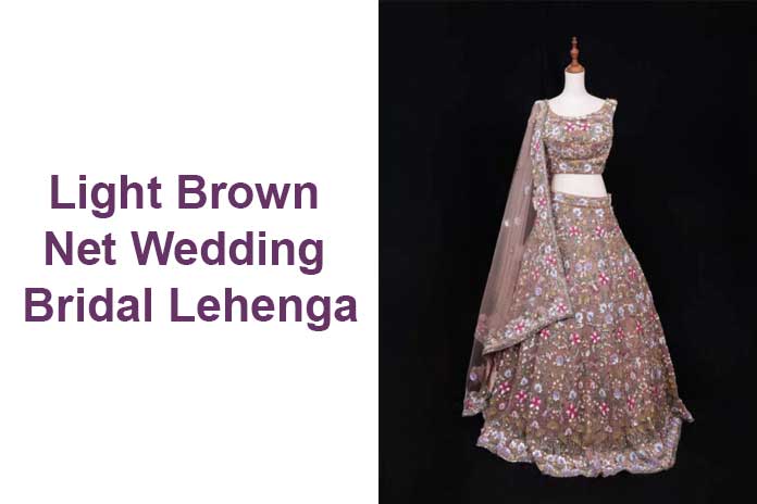 Light Brown Net Wedding Bridal Lehenga